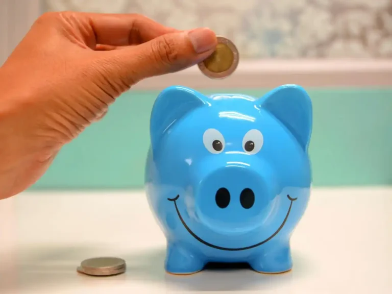 a_piggy_bank_which_save_your_money